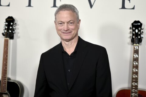 Gary Sinise to receive honorary AARP Purpose Prize Award