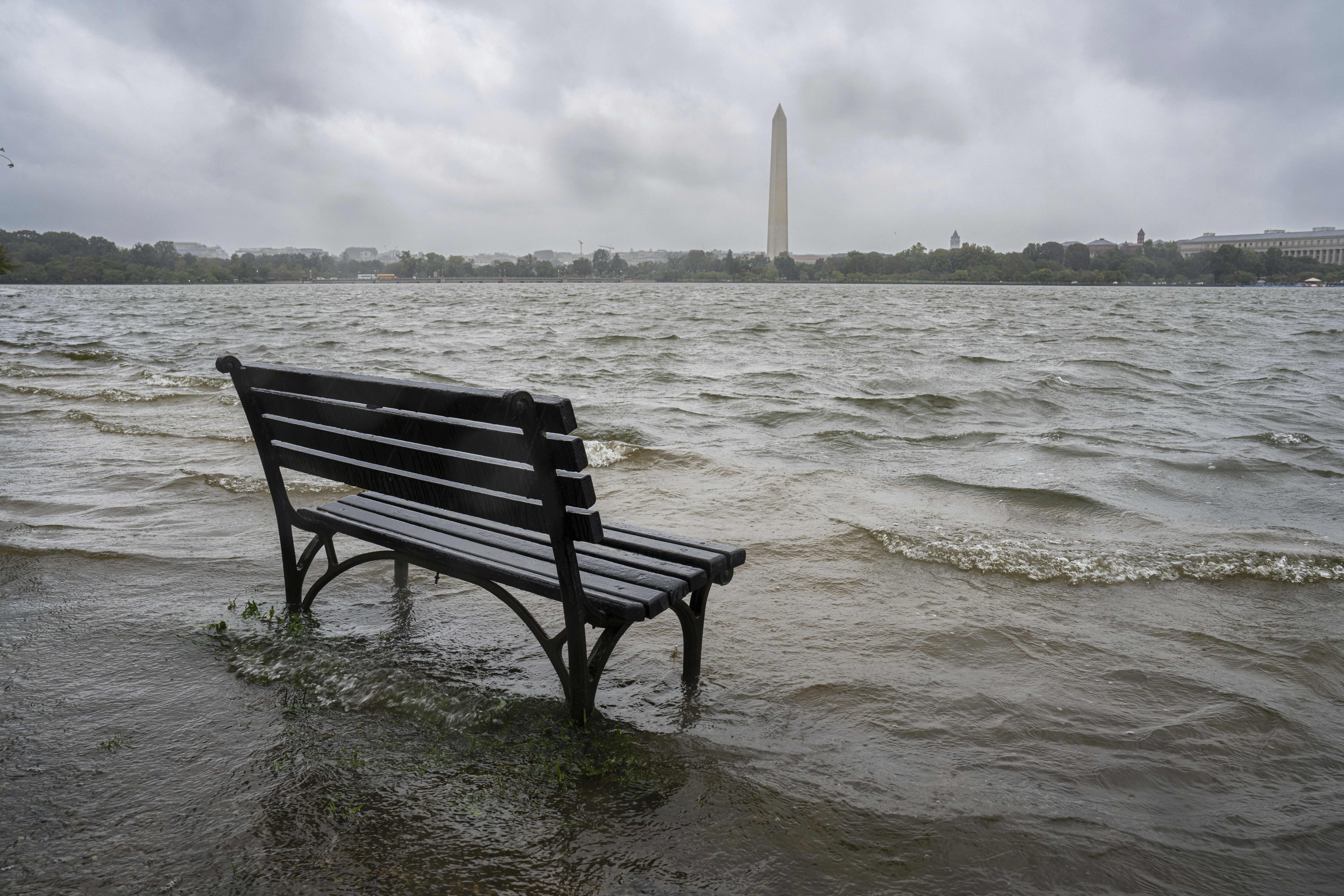 The Tidal Basin in Washington overflows the banks with the rain from Tropical Storm Ophelia, Saturday, Sept. 23, 2023. The National Weather Service has issued a coastal flooding warning for the area. (AP Photo/J. David Ake)