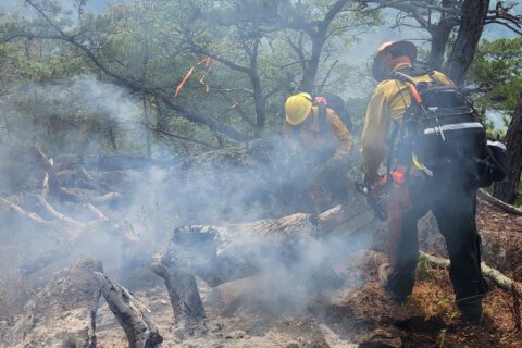 Firefighters work to contain blaze in Shenandoah National Park