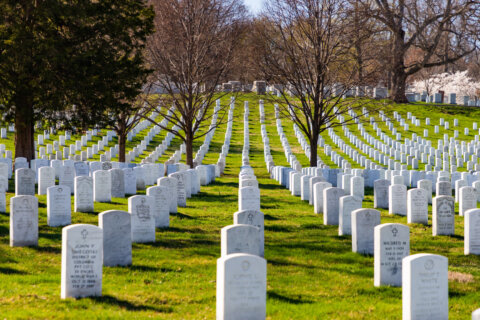 Big crowds expected at Arlington National Cemetery for Veterans Day