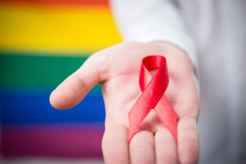 National Gay Men’s HIV/AIDS Awareness Day brings calls for regular testing, reduced stigma