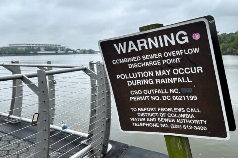 DC Water to tackle sewage flowing into Potomac River; Georgetown tunnel to begin
