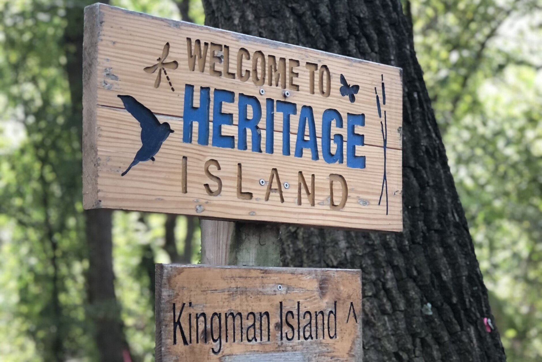 Kingman Island