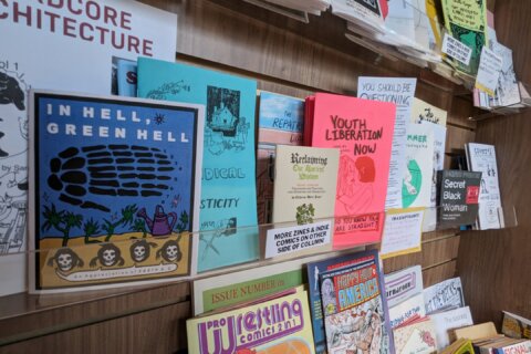 How DC’s zine culture is thriving