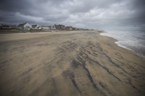 Search resumes for 2 swimmers who went missing off the coast of Virginia Beach