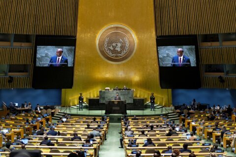 Want a place on the UN stage? Leaders of divided nations must first get past this gatekeeper