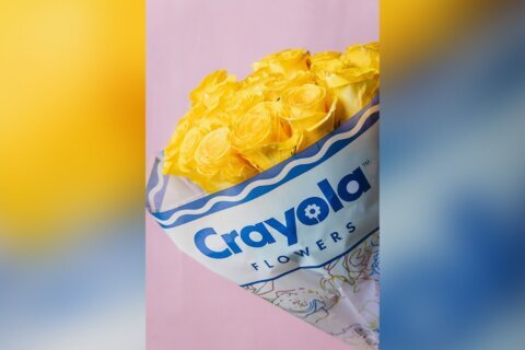 Crayola, beloved for its crayons, is now selling flowers