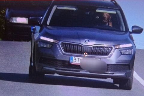 Dog caught in driver’s seat of moving car in speed camera photo in Slovakia