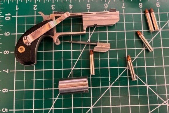 TSA Gun