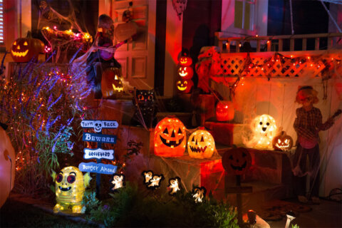 Why insurance claims go up during Halloween