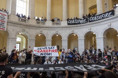 Demonstrators, calling for a ceasefire in the ongoing war between Israel and Hamas, protest inside the Cannon House Office Building at the Capitol in Washington on Wednesday, Oct. 18, 2023. (AP Photo/Amanda Andrade-Rhoades)