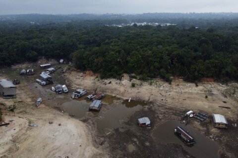 In Brazil's Amazon, rivers fall to record low levels during drought