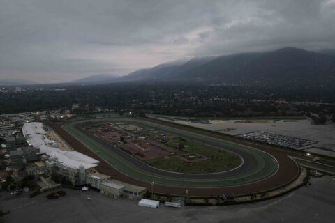 Breeders' Cup contender Practical Move dies after a gallop at Santa Anita. Arcangelo out of Classic