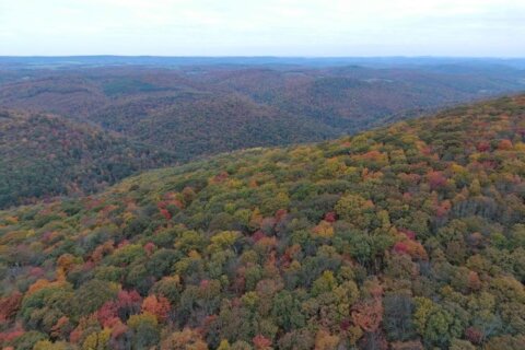 Fall colors emerging in Western Maryland, Northern Virginia