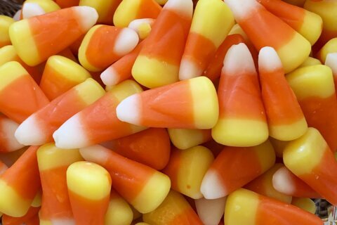 Love it or hate it, feelings run high over candy corn come Halloween