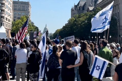 Fury, sadness and solidarity at ‘Stand with Israel’ rally in DC