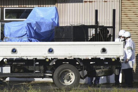 3 bears are captured after sneaking into a tatami factory as northern Japan faces a growing problem