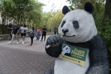 Panda Diplomacy