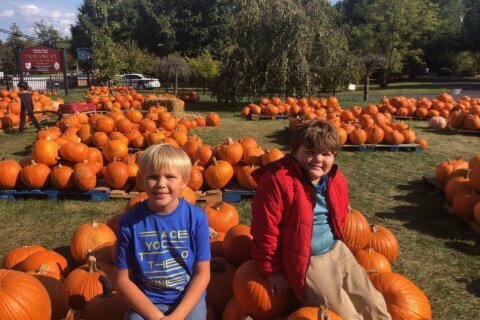 WTOP Top Kids: Vienna brothers give back by selling pumpkins