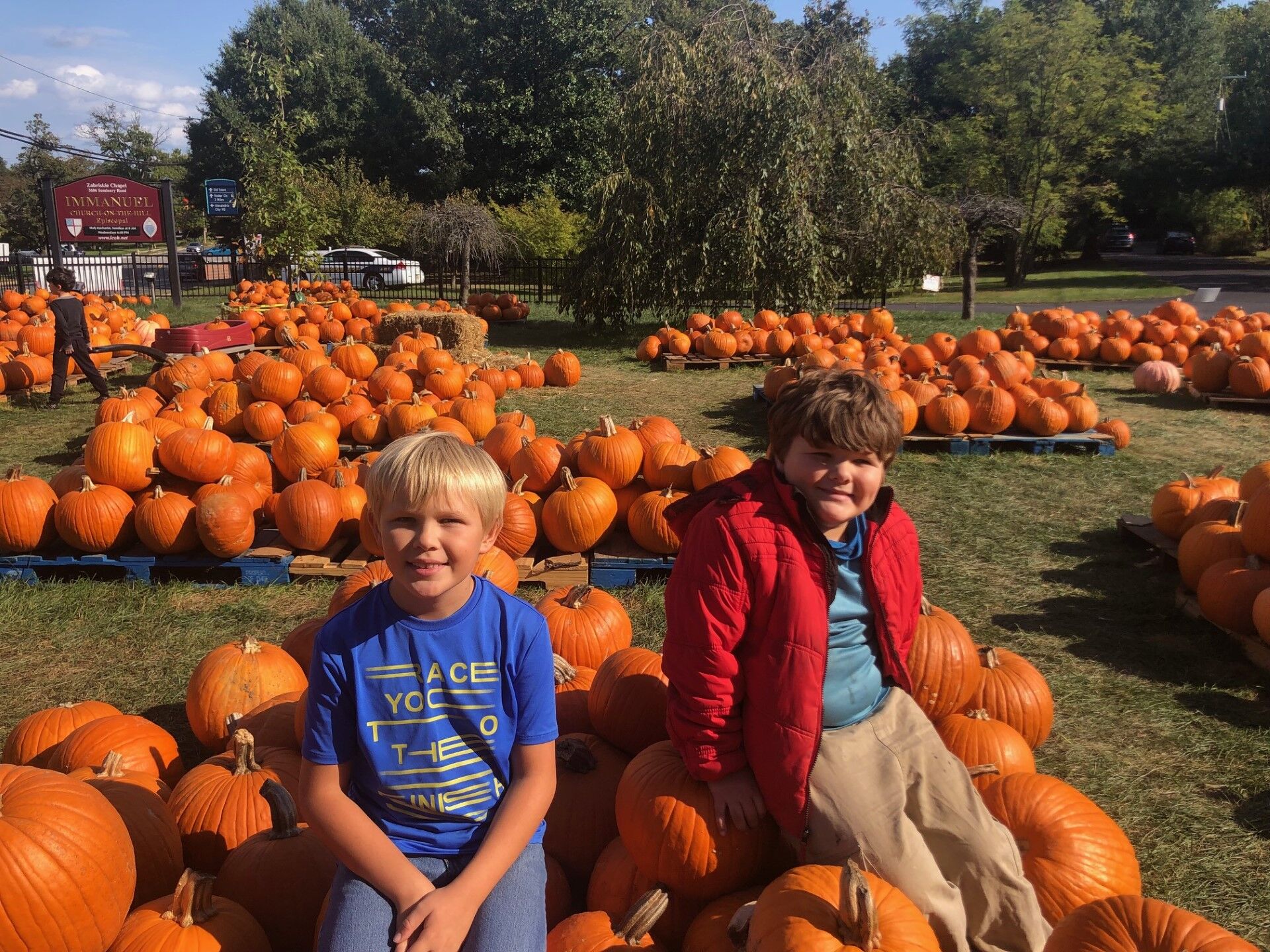 About That Oriole Pumpkin