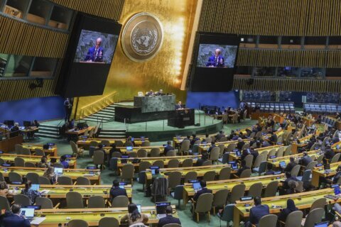 UN General Assembly calls for 'humanitarian truce' in Gaza leading to halt in Israel-Hamas fighting