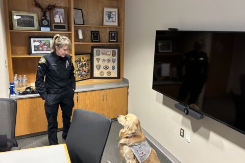 How a service dog in training is supporting Leesburg police