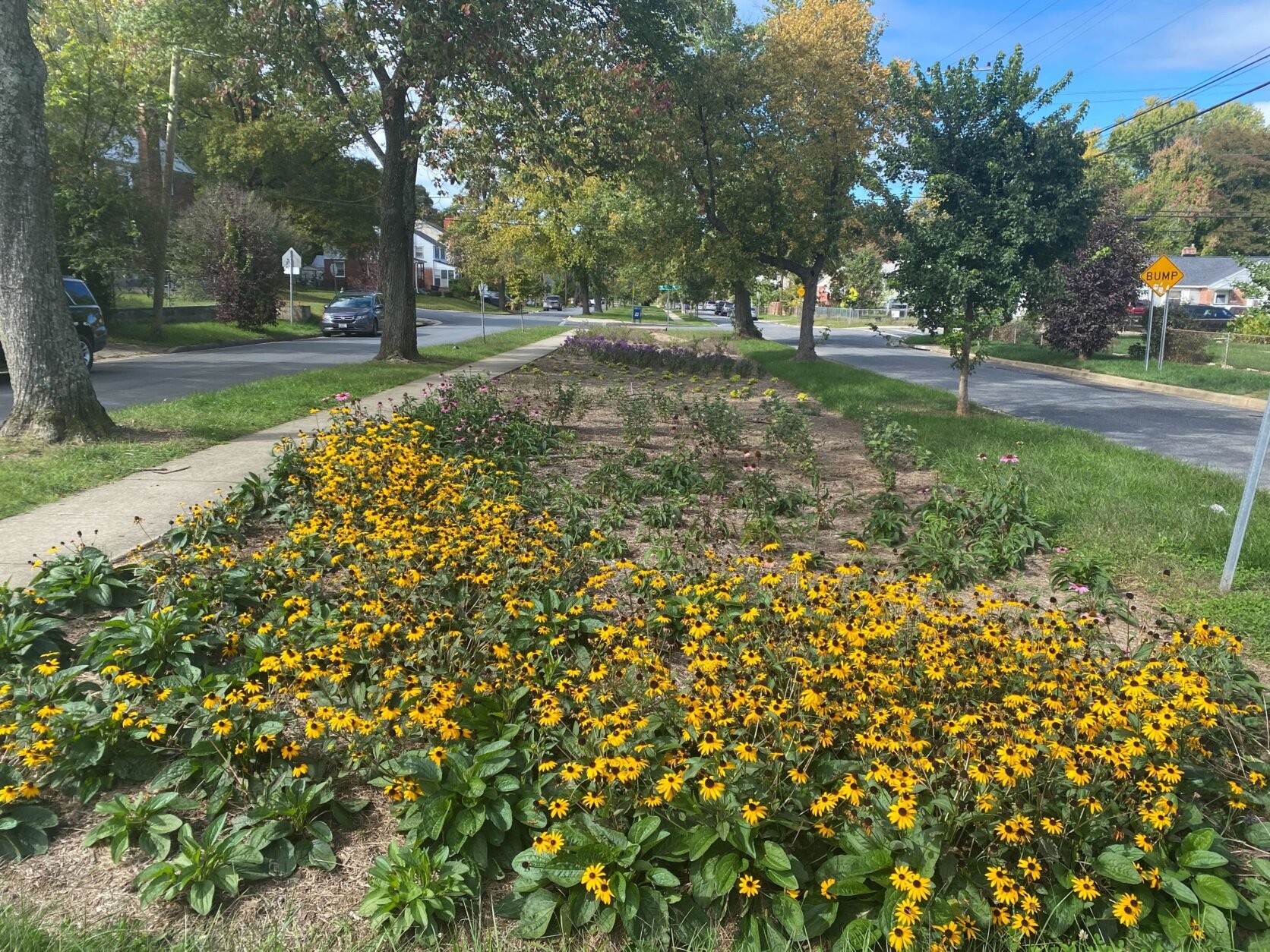 ‘Gorgeous Prince George’s’ — officials are beautifying the county one ...