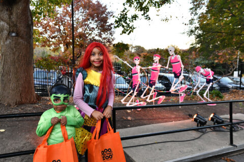 Things to do in the DC area: Halloween, fall festivals, pumpkin patches … and more!