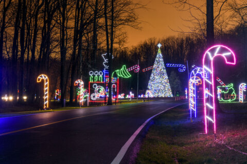 Festival brings dazzling lights to Prince George’s County
