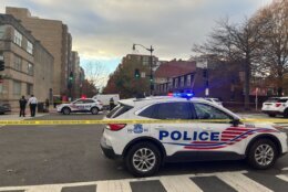 Police cars block off the D.C. crime scene