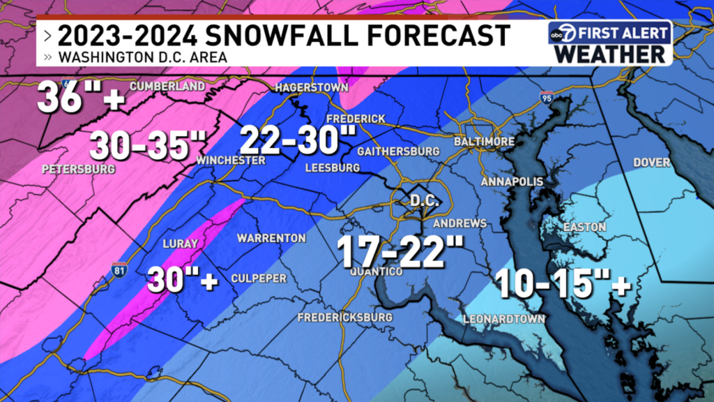 A graphic displays the 2023-2024 Snowfall Forecast for the Washington D.C. area, with 7News First Alert Weather's ABC7 logo in the upper right hand corner. From the upper left to the lower right corner, colored bands denote the various predicted snow fall totals. A white 36"+ hovers above a dark pink color covering northern Maryland and Western Virginia. At a diagonal across part of Cumberland, Maryland, a lighter pink denotes 30-35" snow estimates. While the Shenandoah Valley boasts a hot pink estimate of 30+", a bold, ,royal blue surrounds the area with a 22-30" mark. A more muted blue covers the D.C.-Metro area up to Gaithersburg, Maryland, and further south than Fredericksburg, Virginia, with a white 17-22" hovering above the region. The remaining southeastern most portion of the map is baby blue with 10-15"+ marked just above the Potomac River waterway.