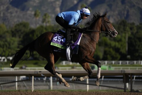 The spate of racehorse deaths this year has Breeders’ Cup under intense scrutiny