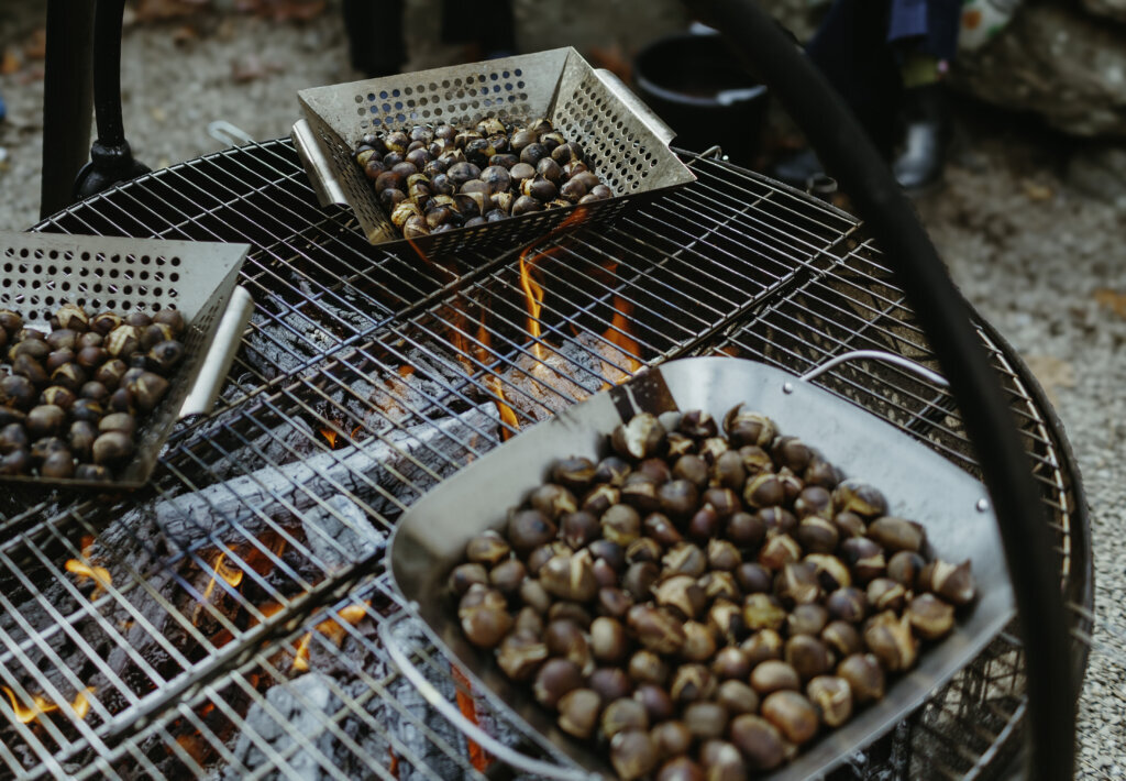 Chestnuts roasting on an open fire: Push to plant 1 million nut trees in mid-Atlantic