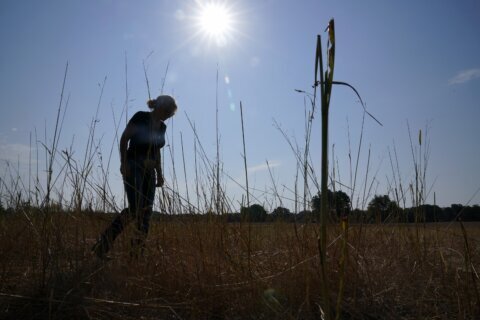 Worsening warming is hurting people in all regions, US climate assessment shows