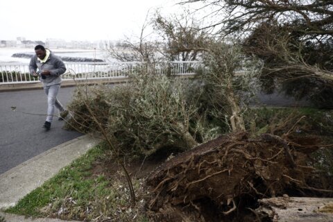 French power supplier says technician killed as it battles damage from Storm Ciarán