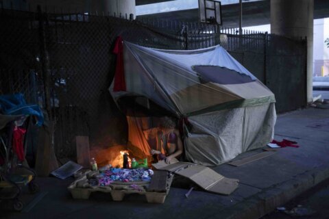 Los Angeles criticized for its handling of homelessness after 16 unhoused people escape freeway fire
