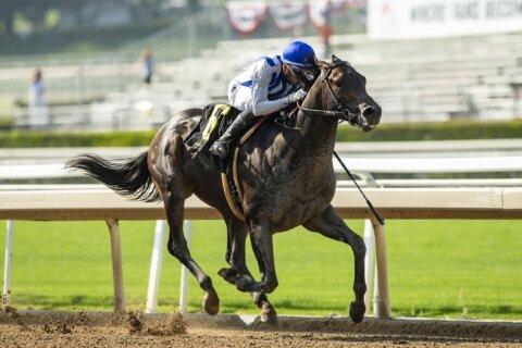 2nd horse based at Santa Anita dies leading up to Breeders' Cup