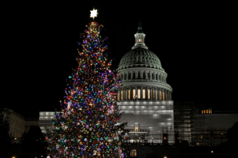 Street closures for US Capitol Christmas Tree lighting Tuesday