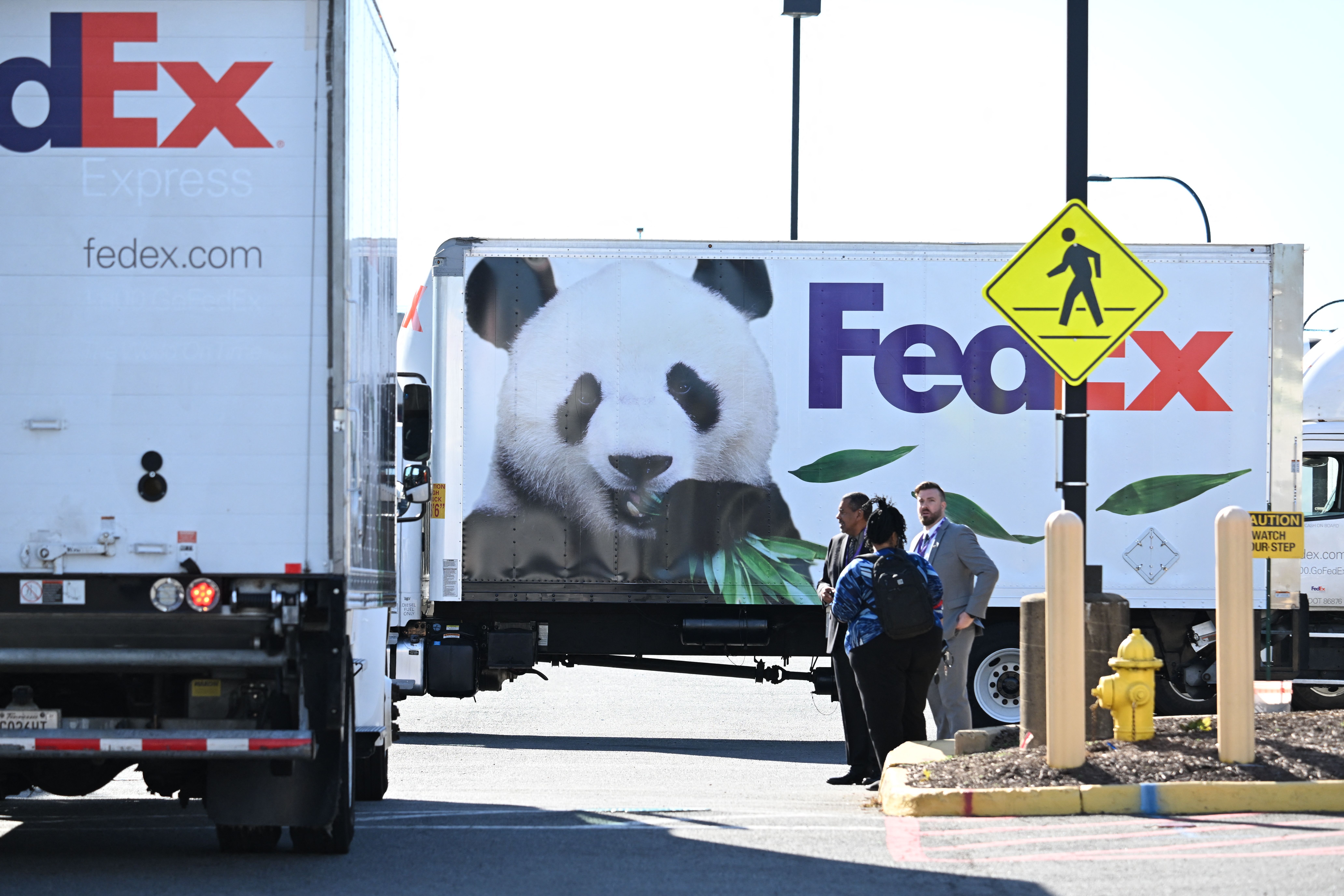 Trucks carrying the Giant Pandas from the Smithsonian's National Zoo arrive at Dulles International Airport in Dulles, Virginia, on November 8, 2023. All three of the zoo's pandas are leaving for China, bringing at least a temporary end to a decades-old connection between the cuddly animal and the US capital. And while the pandas' departure had been expected due to contractual obligations, many can't help but see the shift as reflective of the growing strains between Beijing and Washington. (Photo by Jim WATSON / AFP) (Photo by JIM WATSON/AFP via Getty Images)