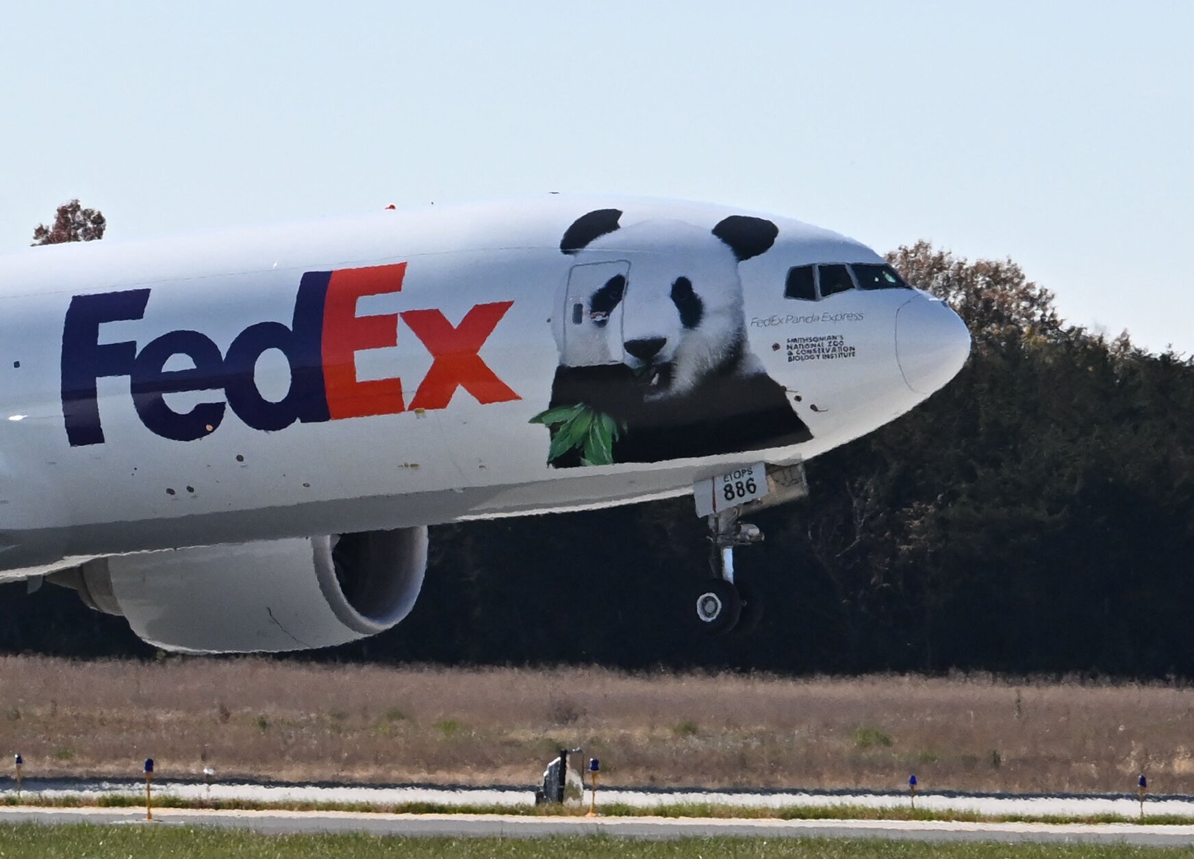 The Panda Express takes off as it transports Giant Pandas from the Smithsonian's National Zoo at Dulles International Airport in Dulles, Virginia, on November 8, 2023. All three of the zoo's pandas are leaving for China, bringing at least a temporary end to a decades-old connection between the cuddly animal and the US capital. And while the pandas' departure had been expected due to contractual obligations, many can't help but see the shift as reflective of the growing strains between Beijing and Washington. (Photo by Jim WATSON / AFP) (Photo by JIM WATSON/AFP via Getty Images)