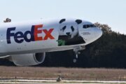 Pandas say last goodbye before long journey back to China from National Zoo