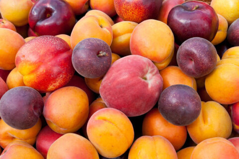 Death, preterm labor reported in Listeria outbreak linked to recalled peaches, plums, nectarines