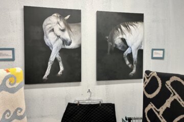 horse painting