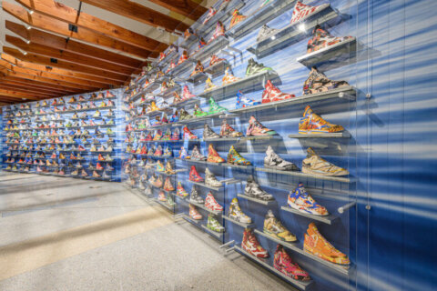 Jordan Sneaker Wall