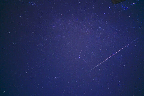 How to watch this weekend’s Leonid Meteor Shower