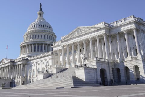 A man with a rifle is arrested in a park near the US Capitol