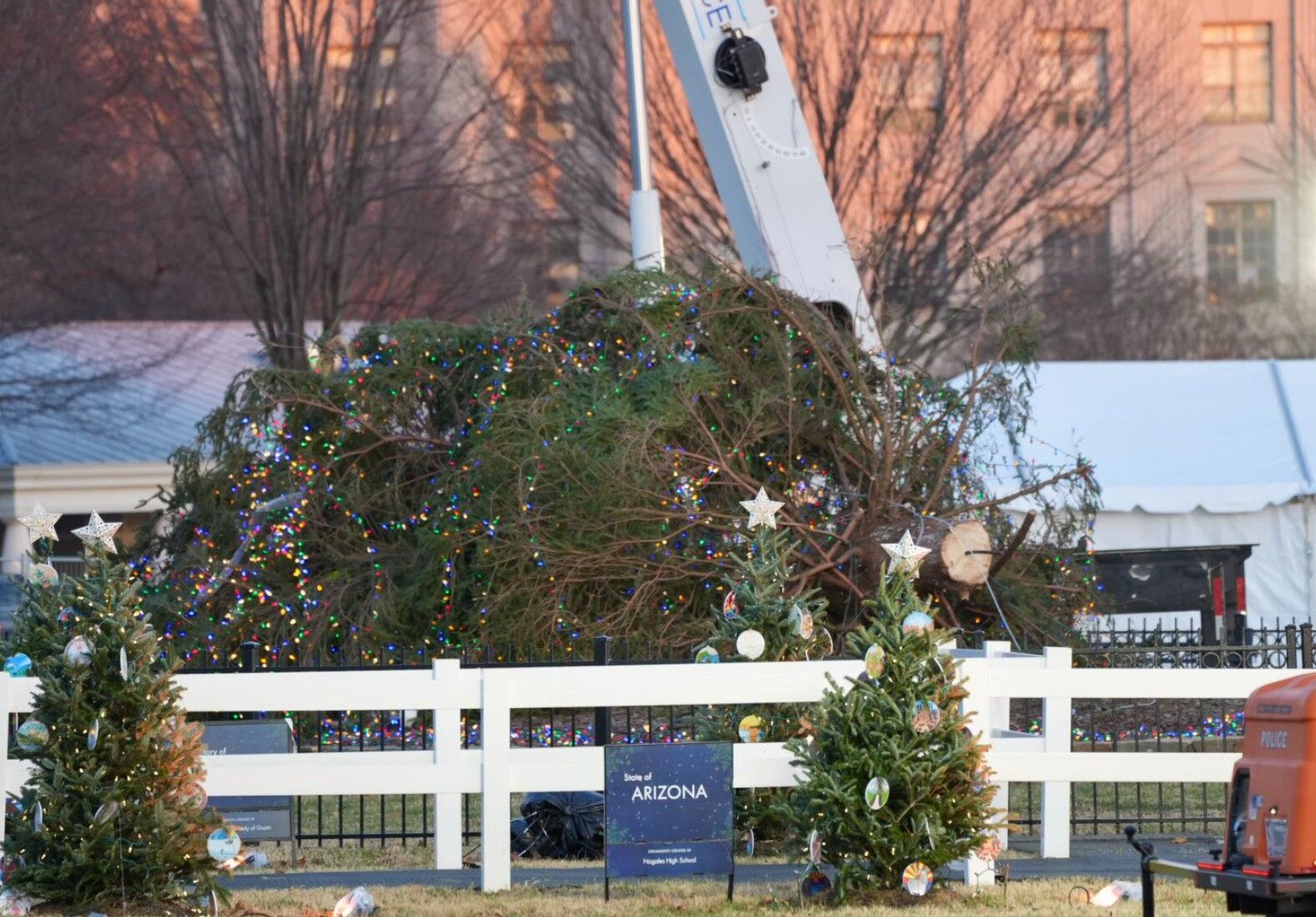 风力强劲，白宫附近的国家圣诞树倾倒