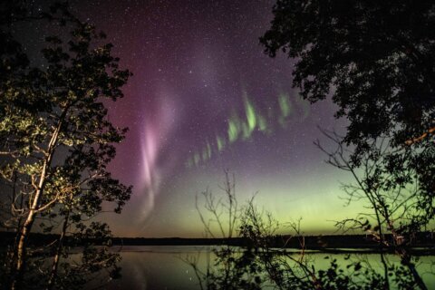 These magnificent purple and green lights aren’t auroras. This is Steve