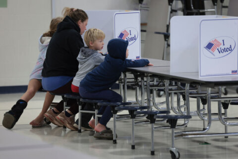 What’s on the line in Northern Va. on Election Day? Here are the races to watch