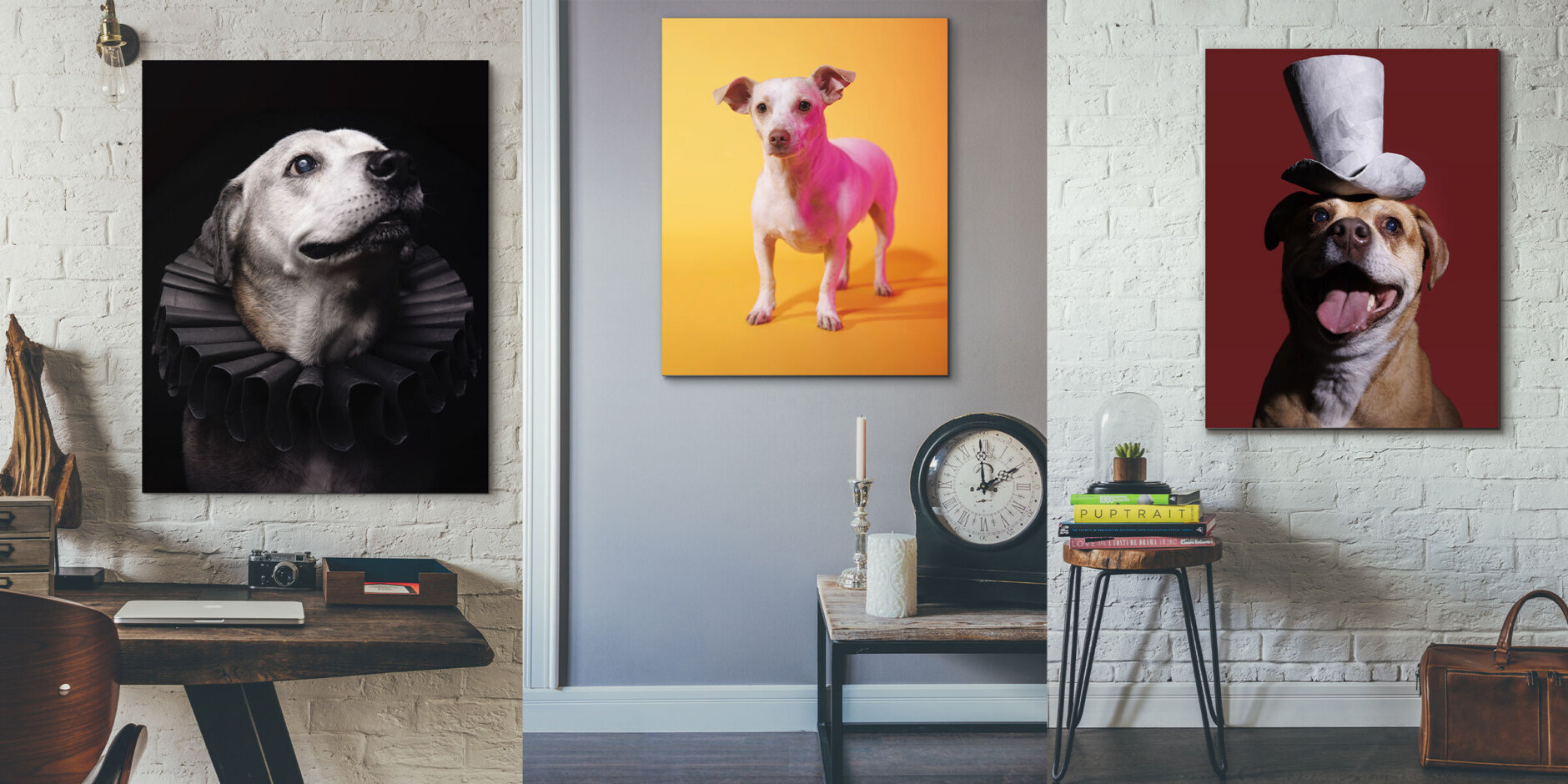 a photo composite shows three portraits of dogs